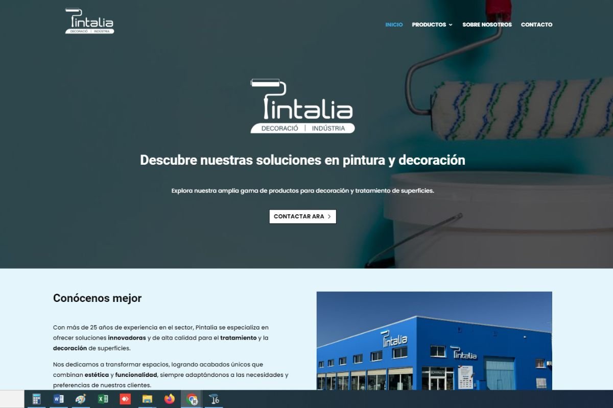 PINTALIA - Web Corporativa
